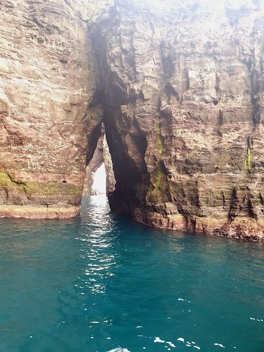 Photo from customer review