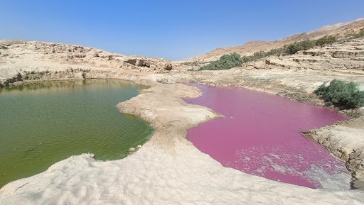 Photo from customer review