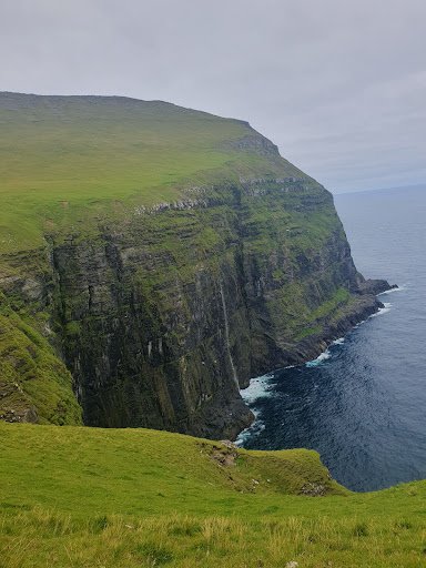 Photo from customer review