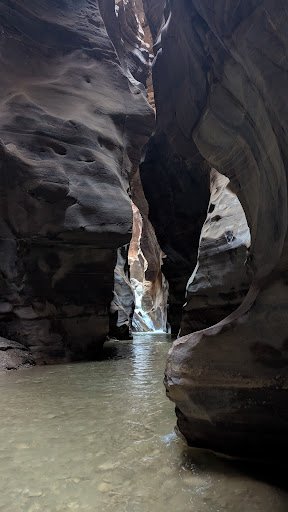 Photo from customer review