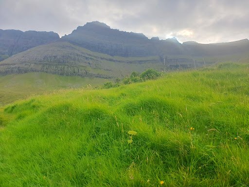 Photo from customer review