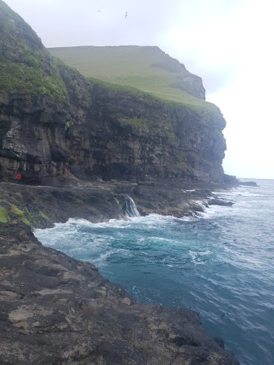 Photo from customer review